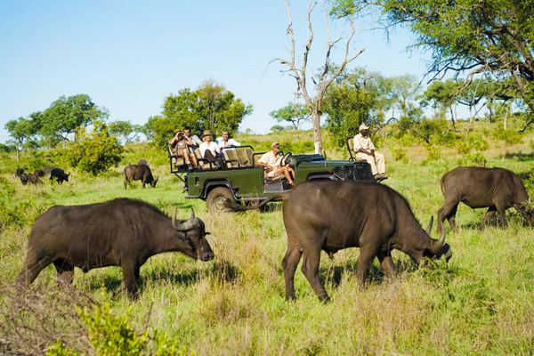 肯尼亞 10 天觀看野生動物特色之旅（長沙直飛，可配全國聯運）